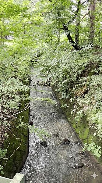 西側隣地：水路