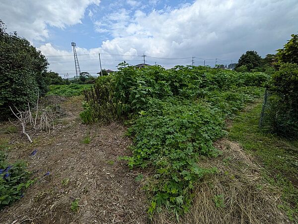 現況土地写真（約360.56m2　公簿)(2)