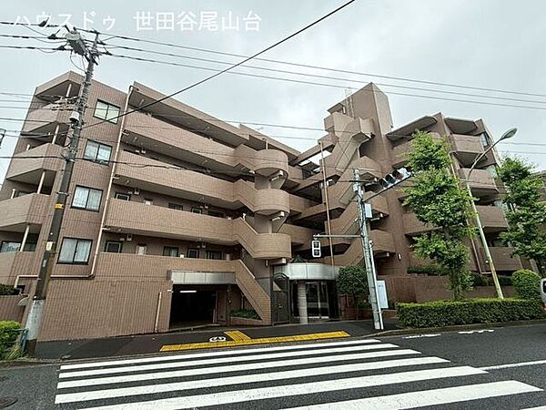 外観：313004802022