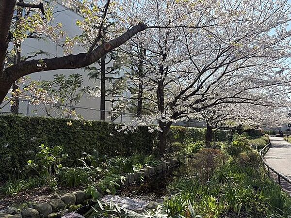 近隣写真 目黒川緑道 800m