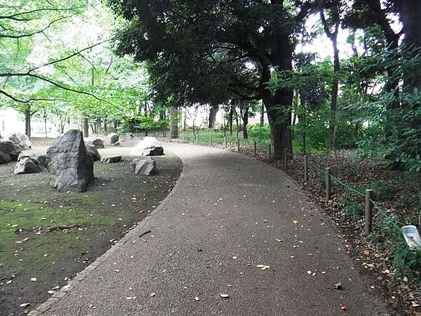 世田谷区立三宿の森緑地 440m