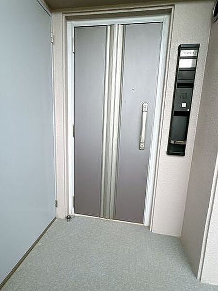 【玄関ドア】玄関ドアのカギはディンプルキーで2箇所あり防犯面も安心です。