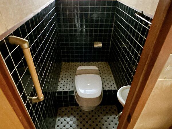 【現在リフォーム中8/9撮影】トイレは交換予定です。現在汲み取りですが、浄化槽を設置予定です。