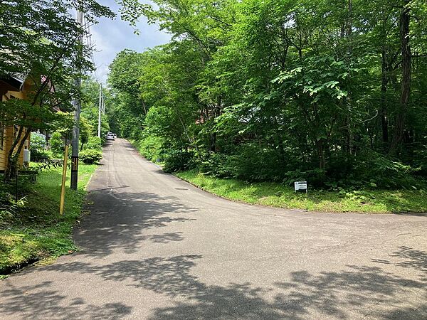 南側道路
