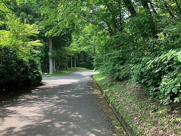 東側道路