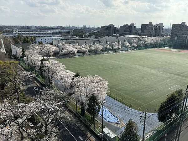 春には満開の桜をお楽しみください♪