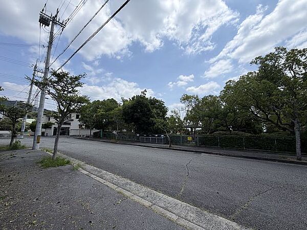物件側からの前面道路、公園