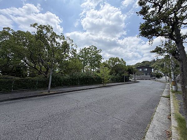 物件側からの前面道路、公園