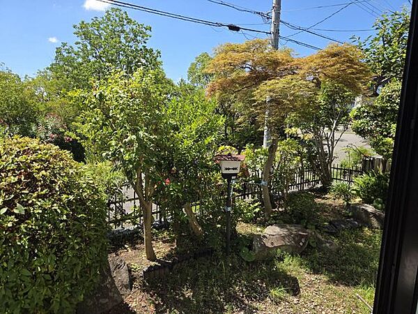 緑豊かなお庭がございます！四季の移ろいを楽しめる住空間です。