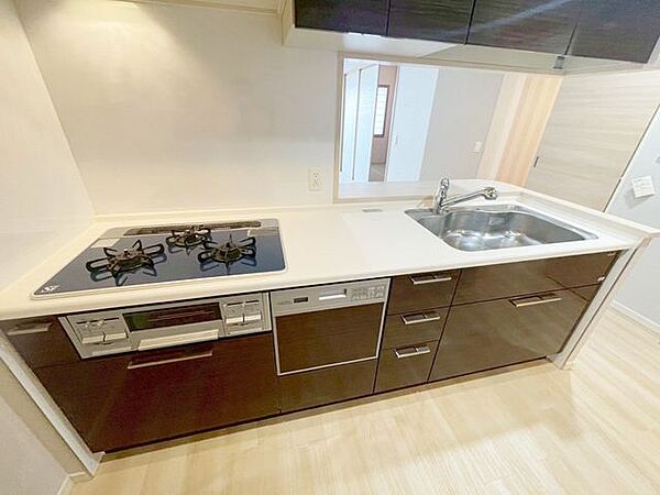 食洗器・浄水器付き