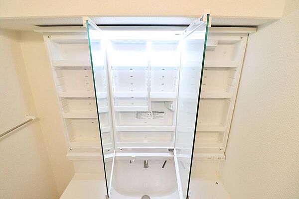 三面鏡の裏は歯ブラシやスキンケア用品などを収納できるスペース確保♪
