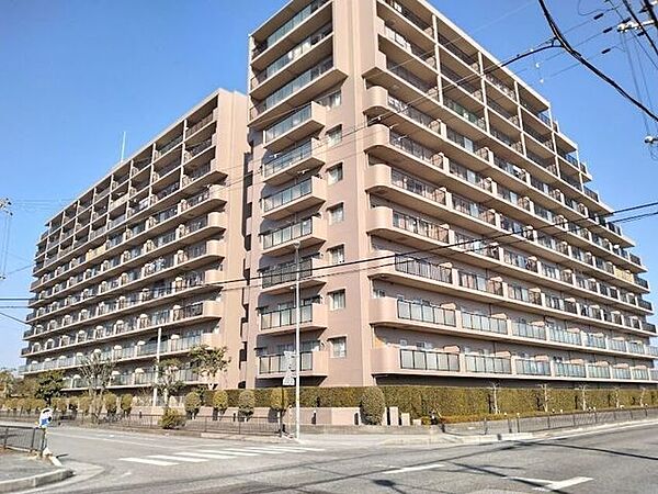 外観：325000118423