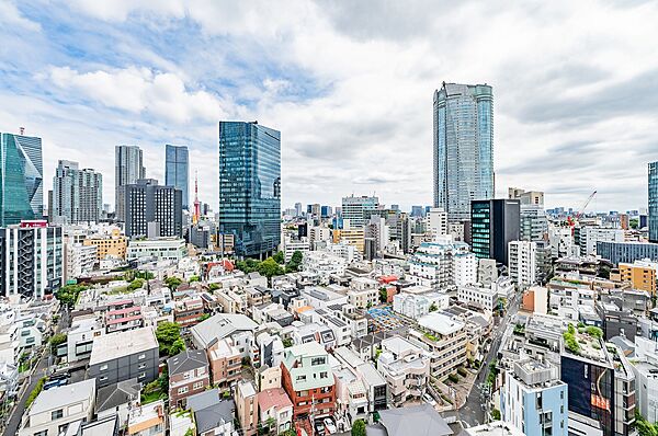 東京タワー方面を望む眺望（南東方面）