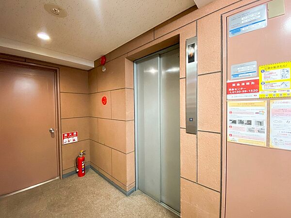 落ち着いた雰囲気の清潔感あるエレベーターホール