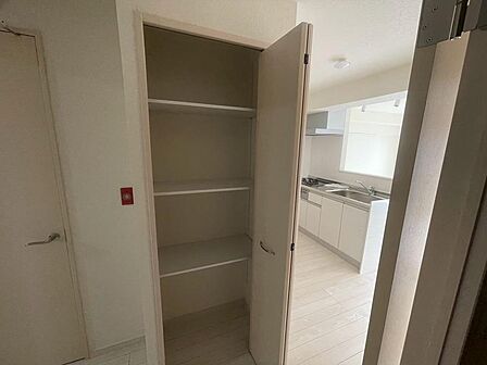 ※過去自社施工事例 衣服などから趣味の収納まで!快適な暮らしのために有効活用したい、充実した収納スペースで整理整頓も楽ちん