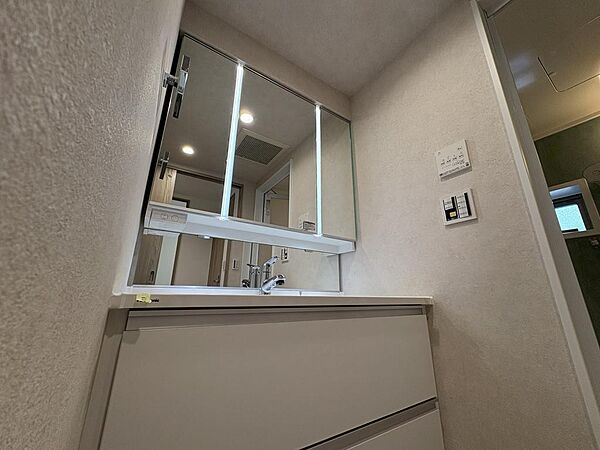 【洗面】三面鏡のシャワー付き洗面台。