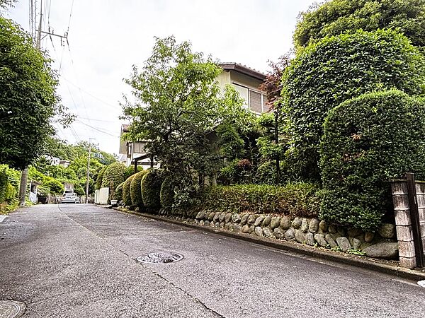 現地西側道路南側から撮影。前面道路幅員約５mとお車の出し入れには充分なスペースがございます。