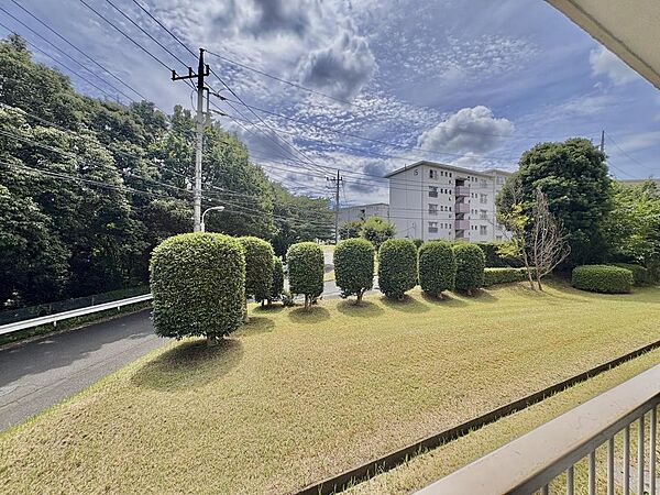 基本的に住人しか車も通らないので落ち着いた環境です