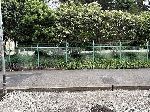 前面道路に隣接する場所には、豊かな緑が目に入る心地よい風景が広がっています。窓を開ければ季節の移ろいを感じられ、毎日の暮らしにふわりと自然の彩りを添えてくれるような環境です。