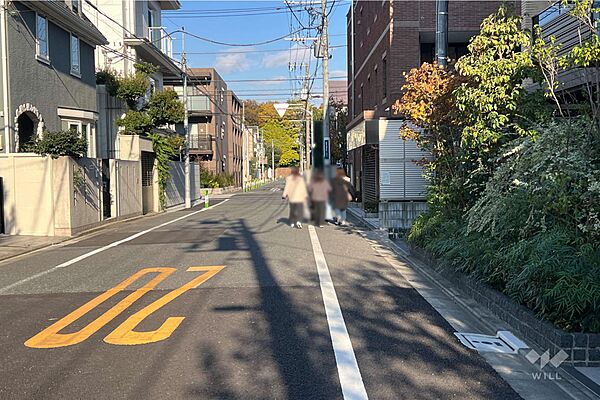 敷地の北西側前面道路（南西側から）