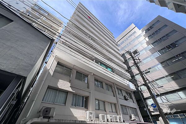 駒形武蔵野マンションの外観（南側から）