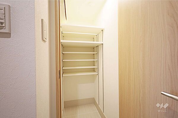 収納［2026年2月1日撮影］