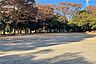 周辺：中央公園の外観