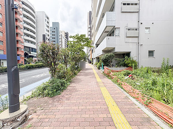 物件の南西側前面道路（南東側から）