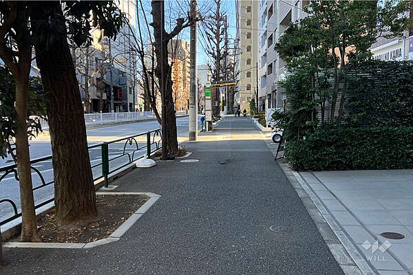 敷地の北東側前面道路（北西側から）