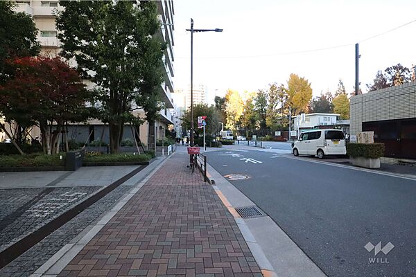 敷地東側の前面道路(南側から)