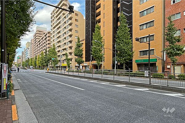 敷地の西側前面道路は音羽通りです。（南側から）