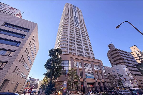 ザ・タワー・グランディアの外観（北東側から）