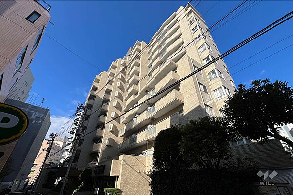 朝日白山マンションの外観（南東側から）