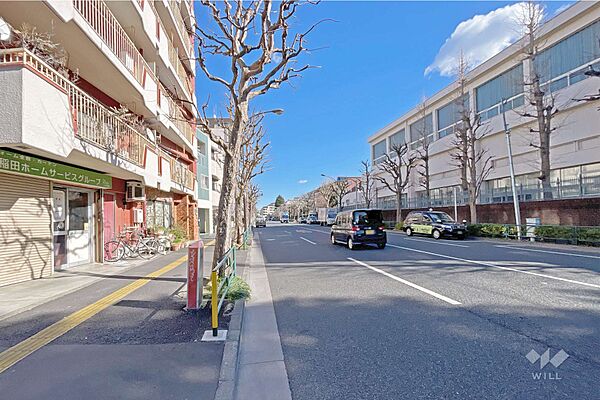 敷地南側の前面道路（西側から）