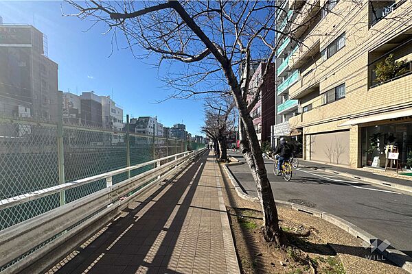 敷地の南東側前面道路（北東側から）