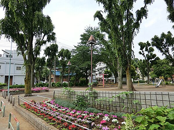 周辺を拡大表示