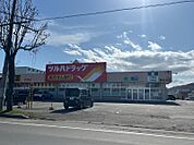 ツルハドラッグ 網走北店 調剤（803m）