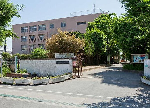 草加市立新栄中学校(1010m)