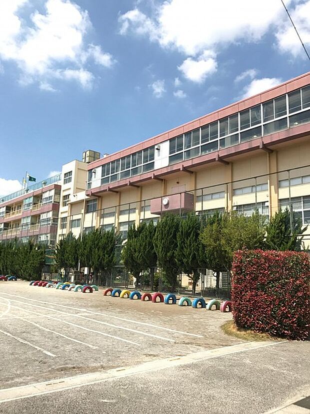 川口市立根岸小学校(524m)