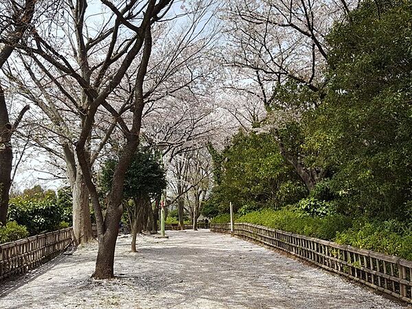 新郷若宮公園（623m）