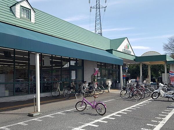 マルエツ安行慈林店（1488m）