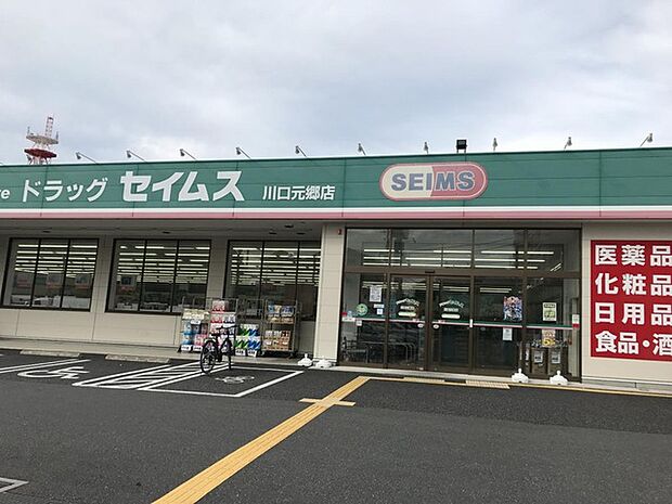 ドラッグセイムス川口元郷店(242m)