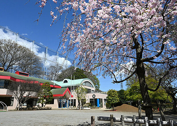 松原幼稚園(535m)