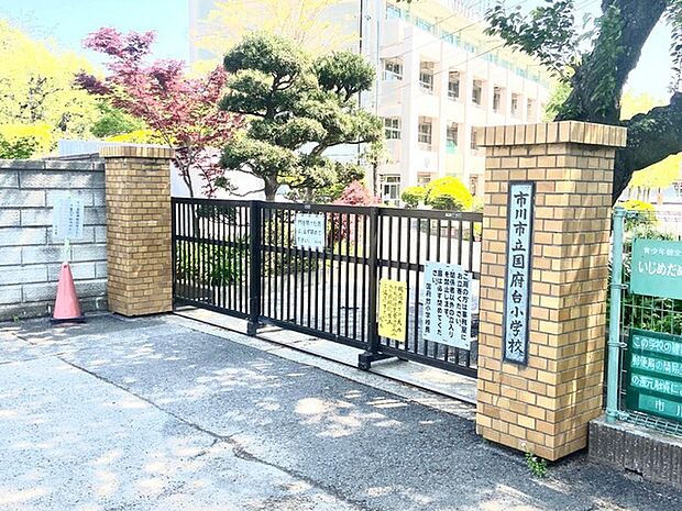 市川市立国府台小学校(1050m)