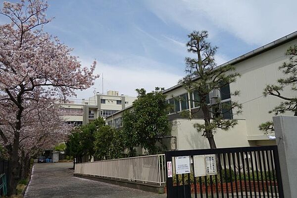 江東区立大島西中学校（1000m）