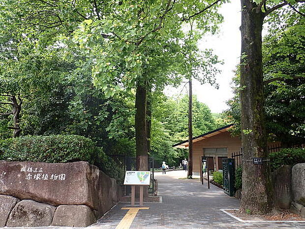 赤塚植物園(592m)