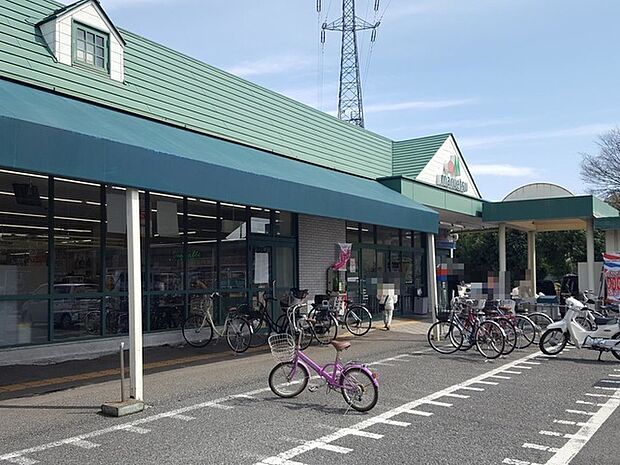 マルエツ安行慈林店（830m）