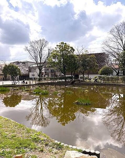 西沼公園（550m）