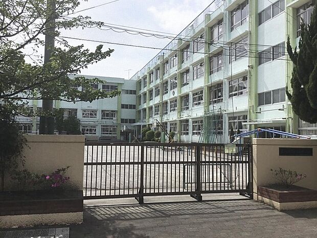 葛飾区立新宿小学校(315m)
