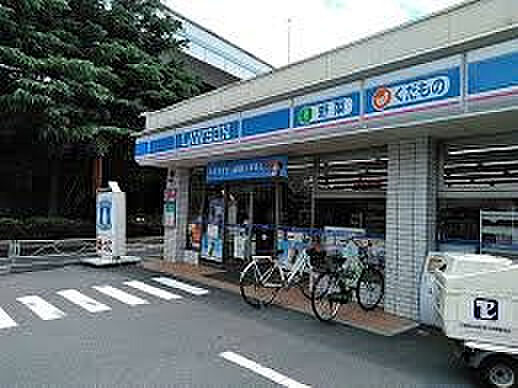 ローソン板橋三園一丁目店（449m）
